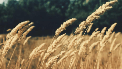 Coding - professional stock photography