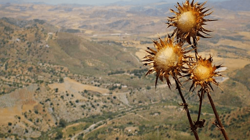 Database - professional stock photography