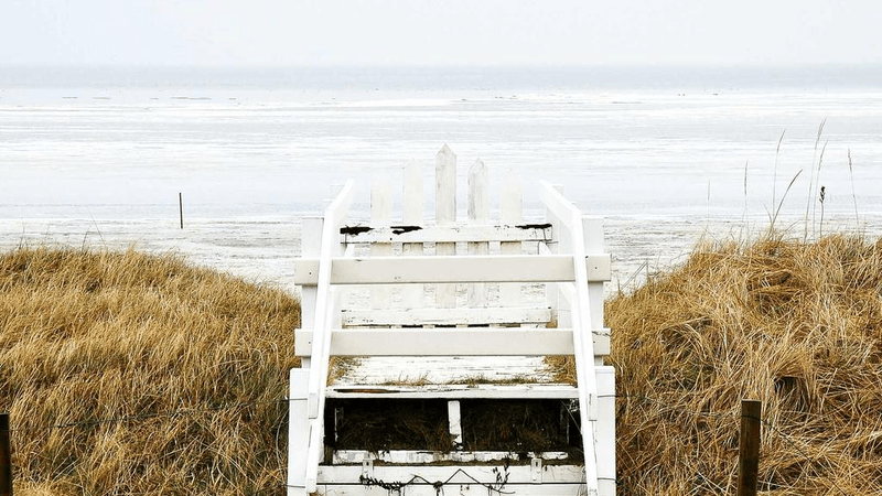 Software - professional stock photography