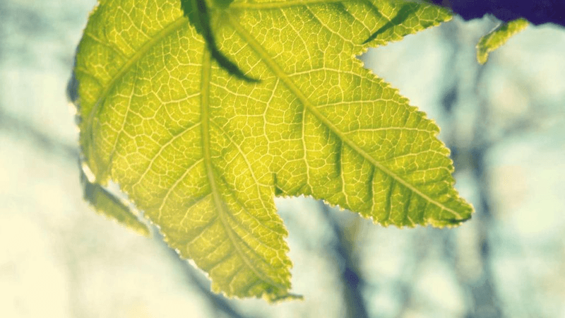 Vr Headset - professional stock photography